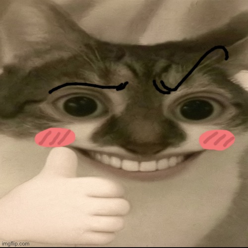 This is horrendous | image tagged in bombastic side eye cat v3 | made w/ Imgflip meme maker