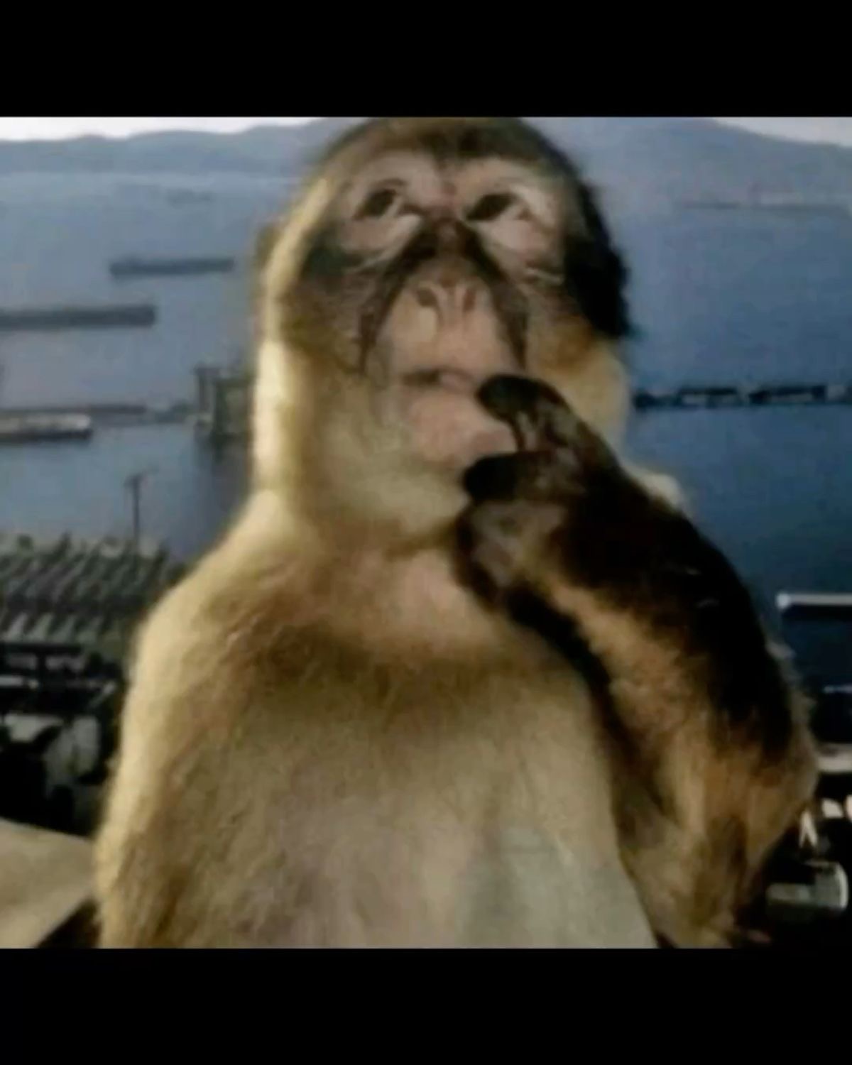 I can take your acc now Blank Meme Template