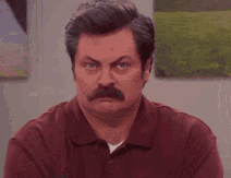 Ron Swanson Judging 01 Blank Meme Template