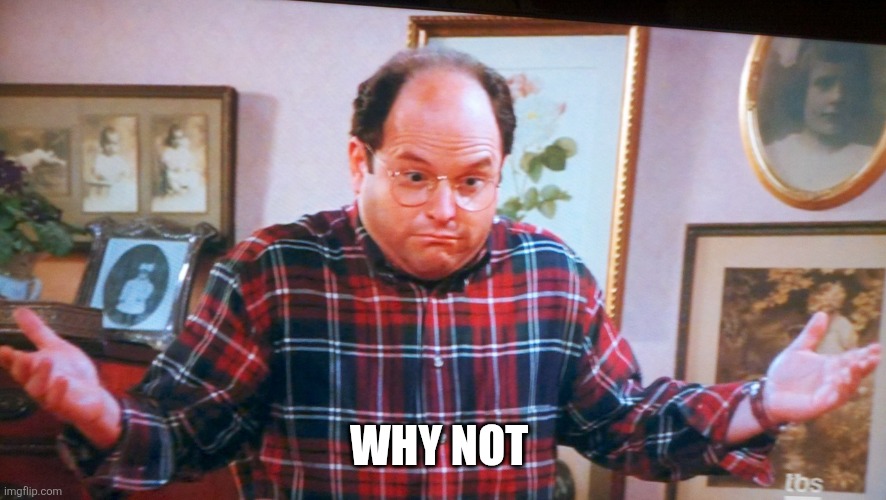 george castanza | WHY NOT | image tagged in george castanza | made w/ Imgflip meme maker