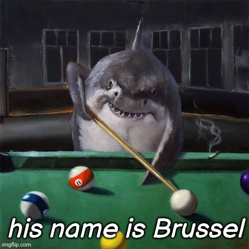his name is Brussel | made w/ Imgflip meme maker