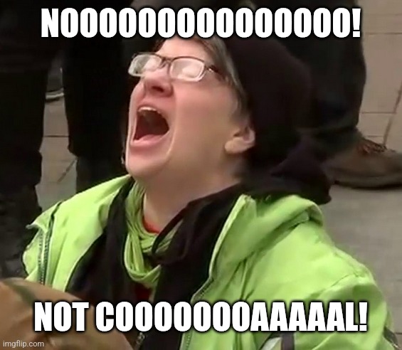 Crying liberal | NOOOOOOOOOOOOOOO! NOT COOOOOOOAAAAAL! | image tagged in crying liberal | made w/ Imgflip meme maker
