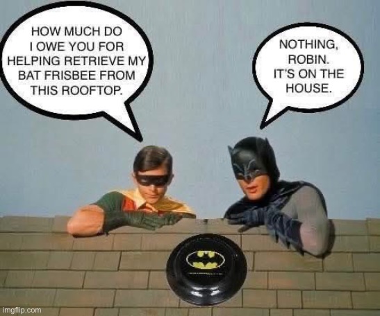 Batpun | image tagged in bad joke,bad pun,batman,robin,roof,frisbee | made w/ Imgflip meme maker