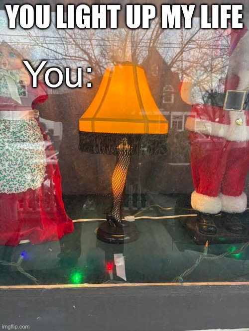 The light of my life | YOU LIGHT UP MY LIFE; You: | image tagged in light,legs,life,fish net | made w/ Imgflip meme maker