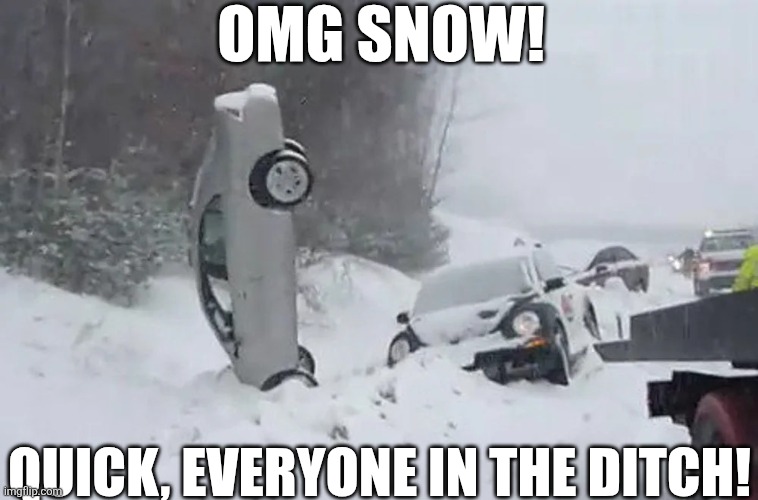OMG Snow! | OMG SNOW! QUICK, EVERYONE IN THE DITCH! | image tagged in chrisjoines1 | made w/ Imgflip meme maker