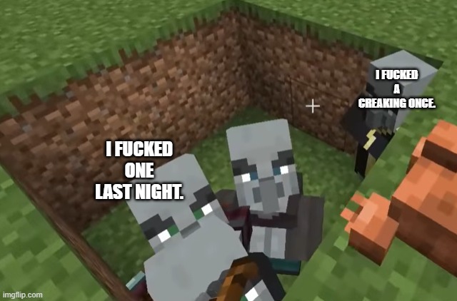 Illagers | I FUCKED A CREAKING ONCE. I FUCKED ONE LAST NIGHT. | image tagged in illagers | made w/ Imgflip meme maker