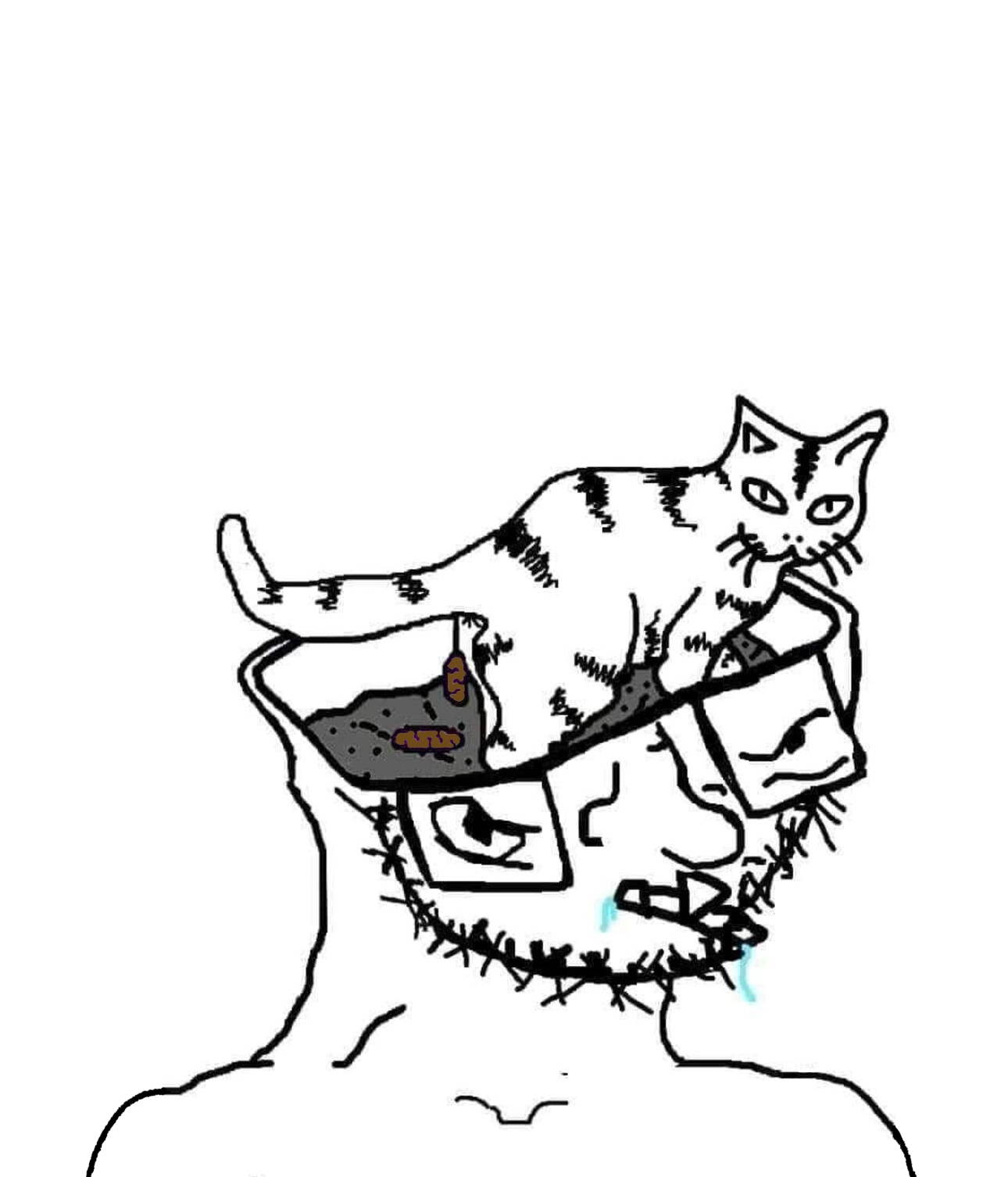 shit for brains Blank Meme Template