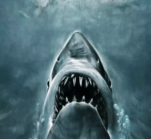 Existential Dread Blank Meme Template