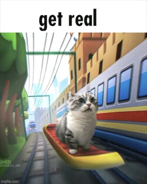 image tagged in get real | made w/ Imgflip meme maker