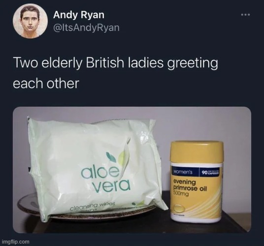 "Ello, Vera." "Evening, Primrose." | image tagged in elderly,british,ladies,greeting,greetings | made w/ Imgflip meme maker