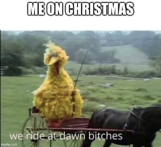We ride at dawn bitches | ME ON CHRISTMAS | image tagged in we ride at dawn bitches | made w/ Imgflip meme maker