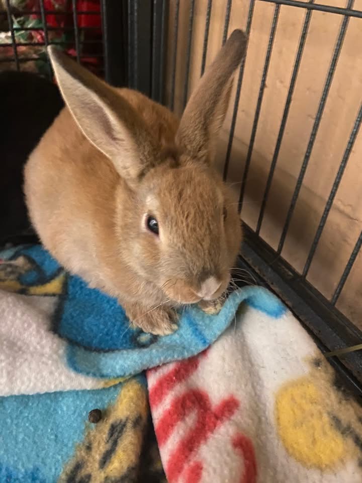 locked in here Blank Meme Template