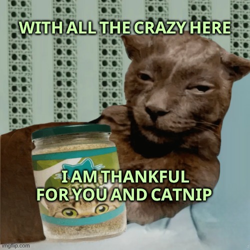 HAPPY 2026! STICK WITH THE WINNERS! | 𝐖𝐈𝐓𝐇 𝐀𝐋𝐋 𝐓𝐇𝐄 𝐂𝐑𝐀𝐙𝐘 𝐇𝐄𝐑𝐄; 𝐈 𝐀𝐌 𝐓𝐇𝐀𝐍𝐊𝐅𝐔𝐋 𝐅𝐎𝐑 𝐘𝐎𝐔 𝐀𝐍𝐃 𝐂𝐀𝐓𝐍𝐈𝐏 | image tagged in happy new year,2026,winners,thankful,thank you,i love you | made w/ Imgflip meme maker