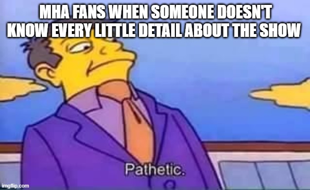 skinner pathetic | MHA FANS WHEN SOMEONE DOESN'T KNOW EVERY LITTLE DETAIL ABOUT THE SHOW | image tagged in skinner pathetic | made w/ Imgflip meme maker