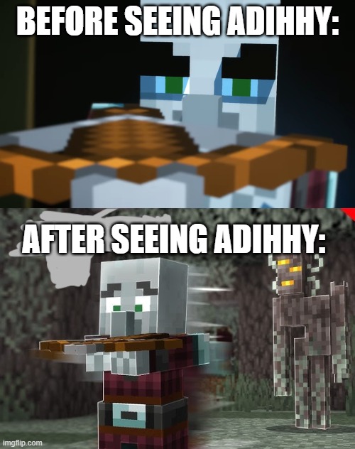 BEFORE SEEING ADIHHY:; AFTER SEEING ADIHHY: | image tagged in pillager,pillager running away from creaking | made w/ Imgflip meme maker