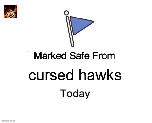Marked Safe From | cursed hawks | image tagged in memes,marked safe from | made w/ Imgflip meme maker