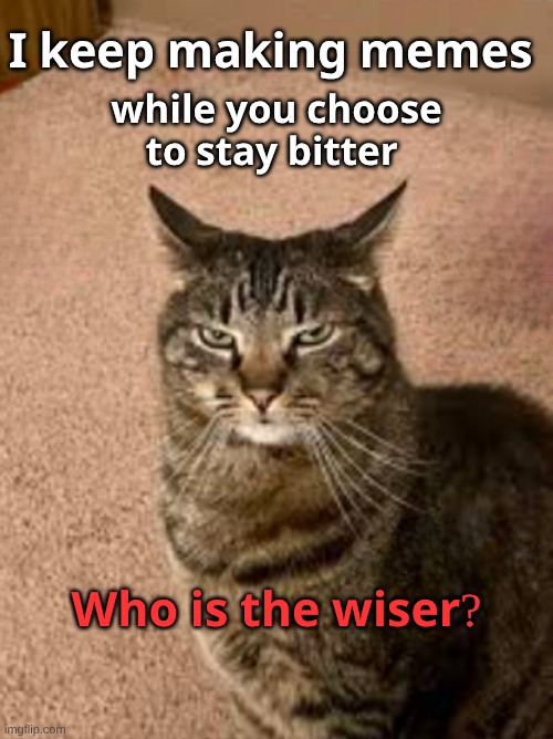 You have to be kitty me | 𝐈 𝐤𝐞𝐞𝐩 𝐦𝐚𝐤𝐢𝐧𝐠 𝐦𝐞𝐦𝐞𝐬; 𝐰𝐡𝐢𝐥𝐞 𝐲𝐨𝐮 𝐜𝐡𝐨𝐨𝐬𝐞 𝐭𝐨 𝐬𝐭𝐚𝐲 𝐛𝐢𝐭𝐭𝐞𝐫; 𝐖𝐡𝐨 𝐢𝐬 𝐭𝐡𝐞 𝐰𝐢𝐬𝐞𝐫? | image tagged in you have to be kitty me,stupid people,your argument is invalid,the most interesting cat in the world | made w/ Imgflip meme maker