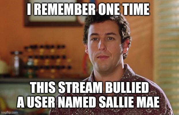 Bobby Boucher | I REMEMBER ONE TIME THIS STREAM BULLIED A USER NAMED SALLIE MAE | image tagged in bobby boucher | made w/ Imgflip meme maker
