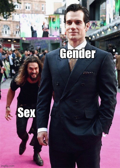 Aquaman Sneaking up on Superman | Gender Sex | image tagged in aquaman sneaking up on superman | made w/ Imgflip meme maker