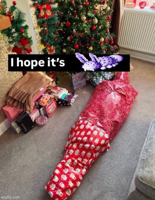 sea bnuny | image tagged in i hope it s x | made w/ Imgflip meme maker