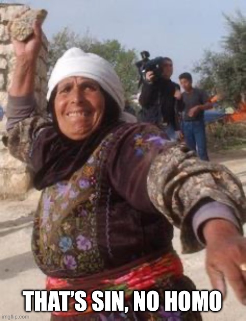 Throwing rocks | THAT’S SIN, NO HOMO | image tagged in throwing rocks | made w/ Imgflip meme maker