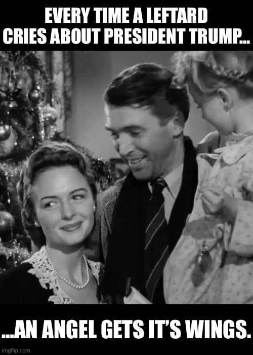 That’s a whole slew of angels in the last 10 years… | EVERY TIME A LEFTARD CRIES ABOUT PRESIDENT TRUMP…; …AN ANGEL GETS IT’S WINGS. | image tagged in political meme,leftard,crying,angel gets its wings,trump | made w/ Imgflip meme maker