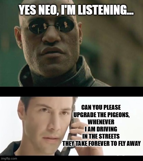 Upgrade pigeons required | image tagged in pigeon meme,pigeon streets meme,neo matrix meme | made w/ Imgflip meme maker