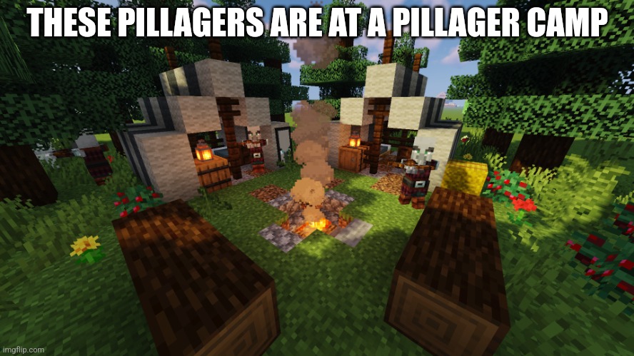 Pillager Camp | THESE PILLAGERS ARE AT A PILLAGER CAMP | image tagged in pillager camp | made w/ Imgflip meme maker