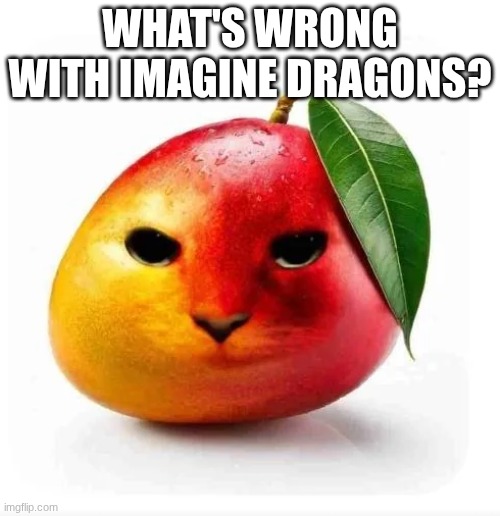 imagine dragging Deez nu- | WHAT'S WRONG WITH IMAGINE DRAGONS? | image tagged in cat mango | made w/ Imgflip meme maker