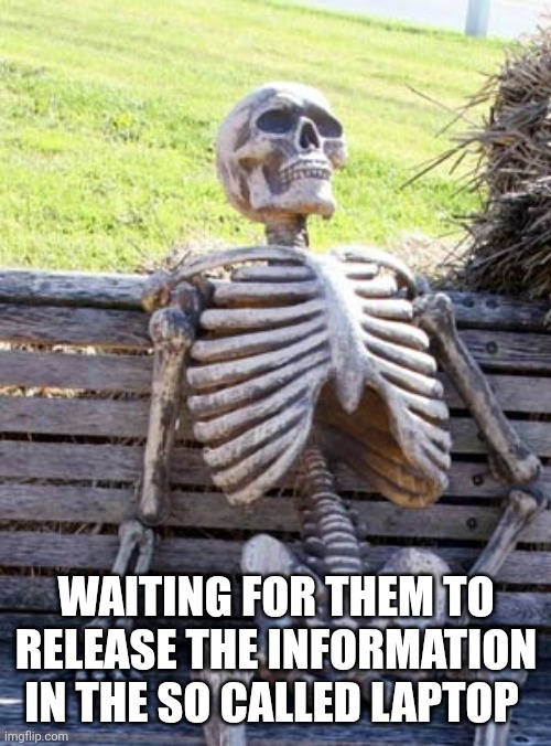 Skeleton on bench | WAITING FOR THEM TO RELEASE THE INFORMATION IN THE SO CALLED LAPTOP | image tagged in skeleton on bench | made w/ Imgflip meme maker
