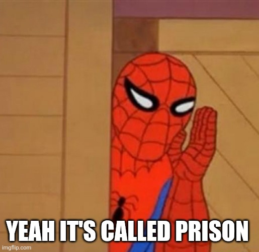 Spiderman says | YEAH IT'S CALLED PRISON | image tagged in spiderman says | made w/ Imgflip meme maker