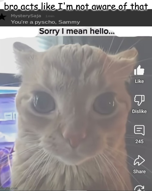 why is msmg so ass nowadays | bro acts like I'm not aware of that | image tagged in ____ sorry i mean hello | made w/ Imgflip meme maker