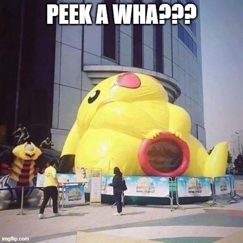 Don't Be a Pussy | image tagged in peekaboo,sex jokes | made w/ Imgflip meme maker