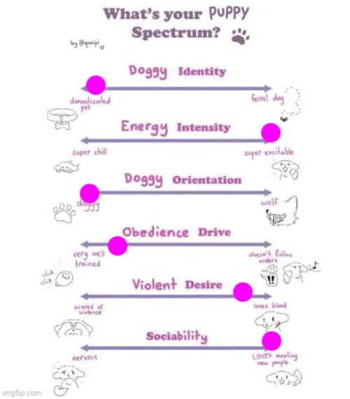 I don’t care what u think of me I’m a silly puppy | made w/ Imgflip meme maker