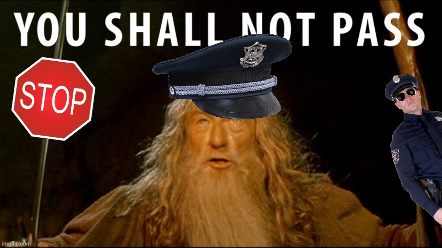 You Shall Not Pass  | image tagged in you shall not pass | made w/ Imgflip meme maker
