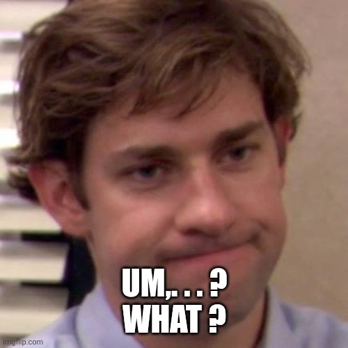 Eh vbb | UM,. . . ?
WHAT ? | image tagged in eh vbb | made w/ Imgflip meme maker