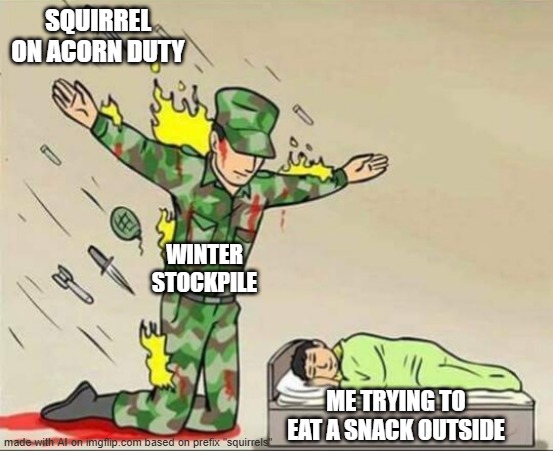 i don't even like eating acorns | SQUIRREL ON ACORN DUTY; WINTER STOCKPILE; ME TRYING TO EAT A SNACK OUTSIDE | image tagged in soldier protecting sleeping child,funny,memes | made w/ Imgflip meme maker