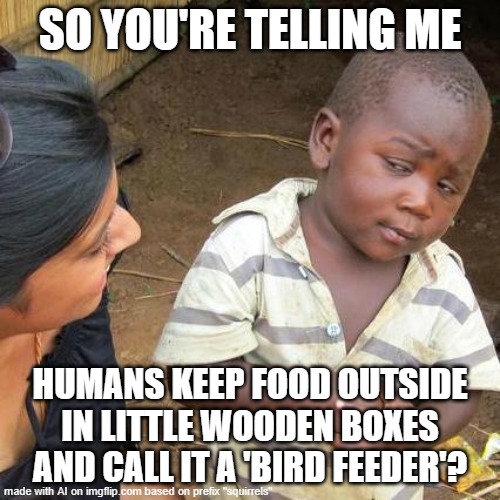 it doesn't make sense | SO YOU'RE TELLING ME; HUMANS KEEP FOOD OUTSIDE IN LITTLE WOODEN BOXES AND CALL IT A 'BIRD FEEDER'? | image tagged in memes,third world skeptical kid | made w/ Imgflip meme maker