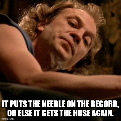 Buffalo Bill | IT PUTS THE NEEDLE ON THE RECORD,
OR ELSE IT GETS THE HOSE AGAIN. | image tagged in buffalo bill | made w/ Imgflip meme maker