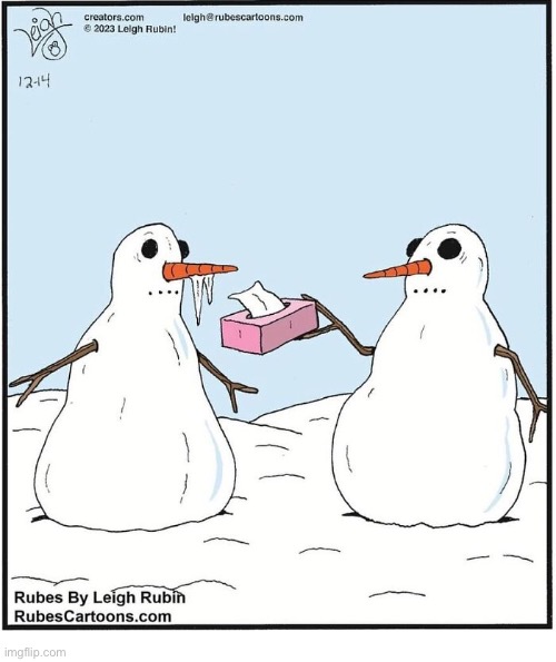 Rubes | image tagged in comics,rubes,snowmen,cold,tissue,icicles | made w/ Imgflip meme maker
