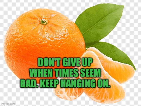 satsuma | DON'T GIVE UP WHEN TIMES SEEM BAD. KEEP HANGING ON. | image tagged in satsuma | made w/ Imgflip meme maker