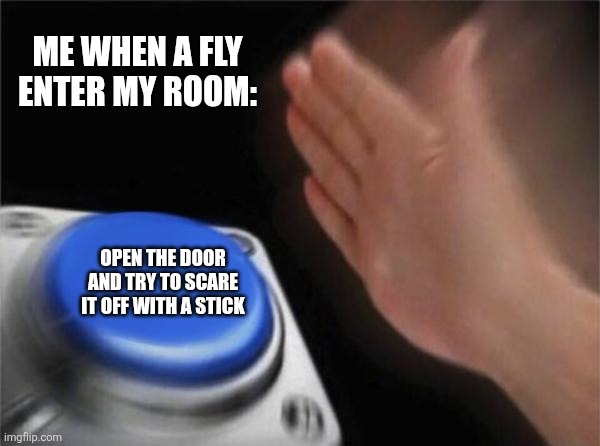 Blank Nut Button Meme | ME WHEN A FLY ENTER MY ROOM:; OPEN THE DOOR AND TRY TO SCARE IT OFF WITH A STICK | image tagged in memes,stupid,fly | made w/ Imgflip meme maker