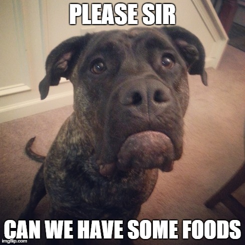 PLEASE SIR CAN WE HAVE SOME FOODS | made w/ Imgflip meme maker