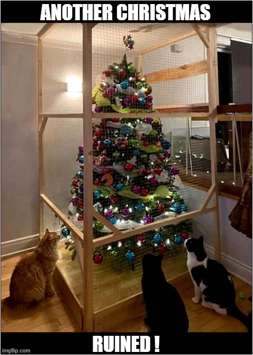 All They Wanted To Do Was To Destroy ! | ANOTHER CHRISTMAS; RUINED ! | image tagged in cats,christmas tree,cage,destroy | made w/ Imgflip meme maker