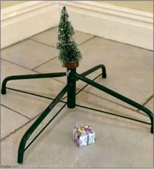 Its Been A Rough Year ! | image tagged in christmas tree,present,bad,year | made w/ Imgflip meme maker
