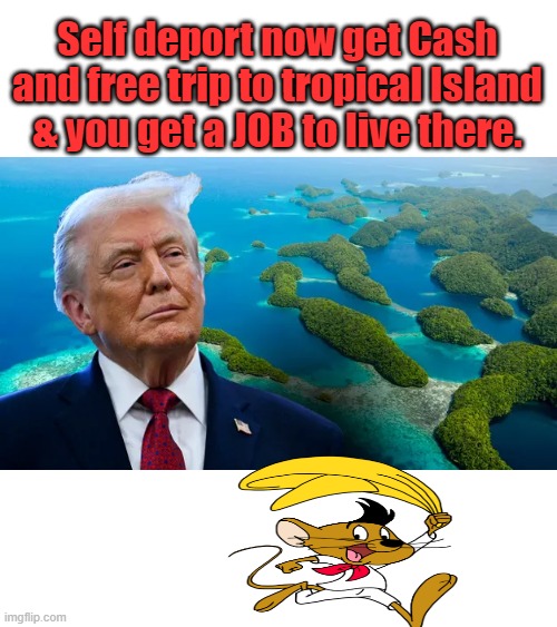 Great Deal | Self deport now get Cash and free trip to tropical Island & you get a JOB to live there. | made w/ Imgflip meme maker