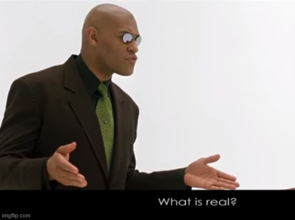 image tagged in morpheus what is real | made w/ Imgflip meme maker
