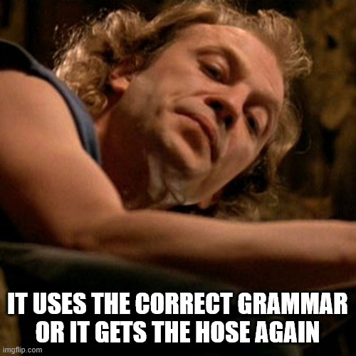 IT USES THE CORRECT GRAMMAR
OR IT GETS THE HOSE AGAIN | image tagged in buffalo bill | made w/ Imgflip meme maker