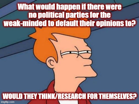 The political party system has division baked into it. | What would happen if there were no political parties for the weak-minded to default their opinions to? WOULD THEY THINK/RESEARCH FOR THEMSELVES? | image tagged in politics,american politics,freedom in murica,freedom,ban political parties,let freedom ring | made w/ Imgflip meme maker