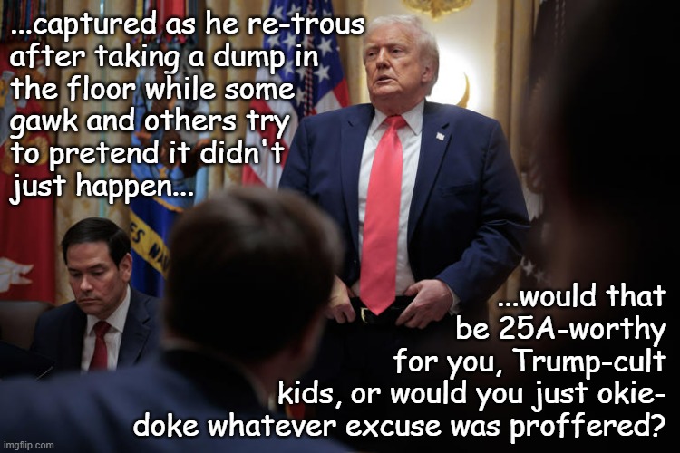 For the sake of argument, let's say this is a picture of Dear Leader... | ...captured as he re-trous
after taking a dump in
the floor while some
gawk and others try
to pretend it didn't
just happen... ...would that
be 25A-worthy
for you, Trump-cult
kids, or would you just okie-
doke whatever excuse was proffered? | image tagged in trump dumps,25th amendment,just sayin',fair question | made w/ Imgflip meme maker